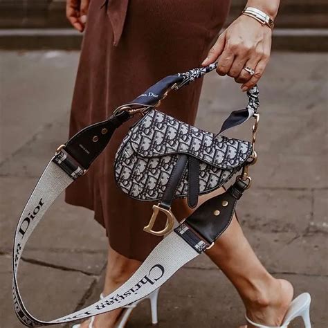 dior saddle bag bag